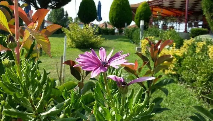 Grand Platon 4* Olympiakí Aktí