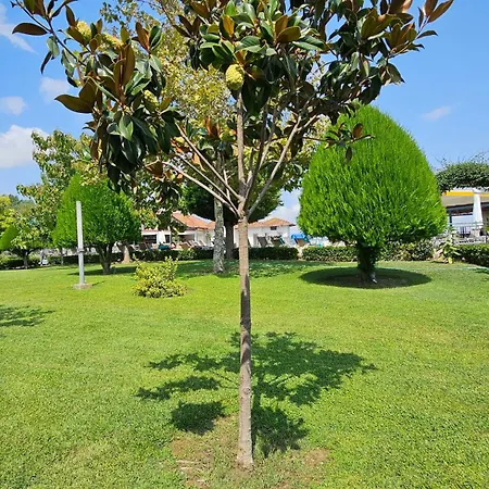 Grand Platon 4* Olympiakí Aktí