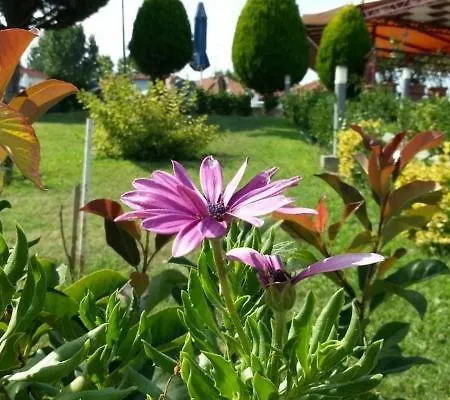 Grand Platon 4* Olympiakí Aktí